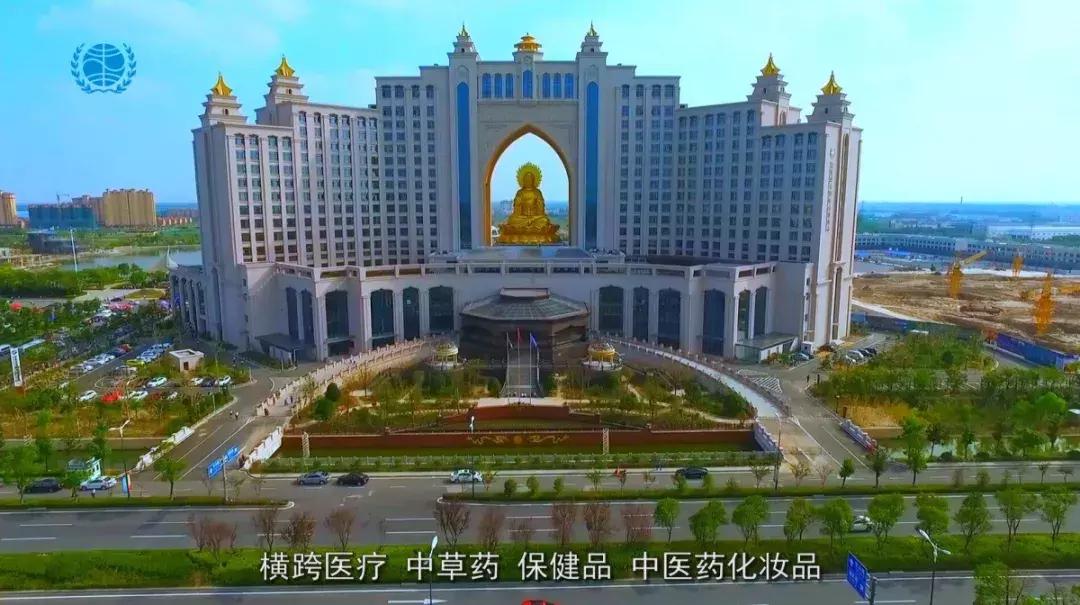 权健最新官方消息,权健为什么被封杀