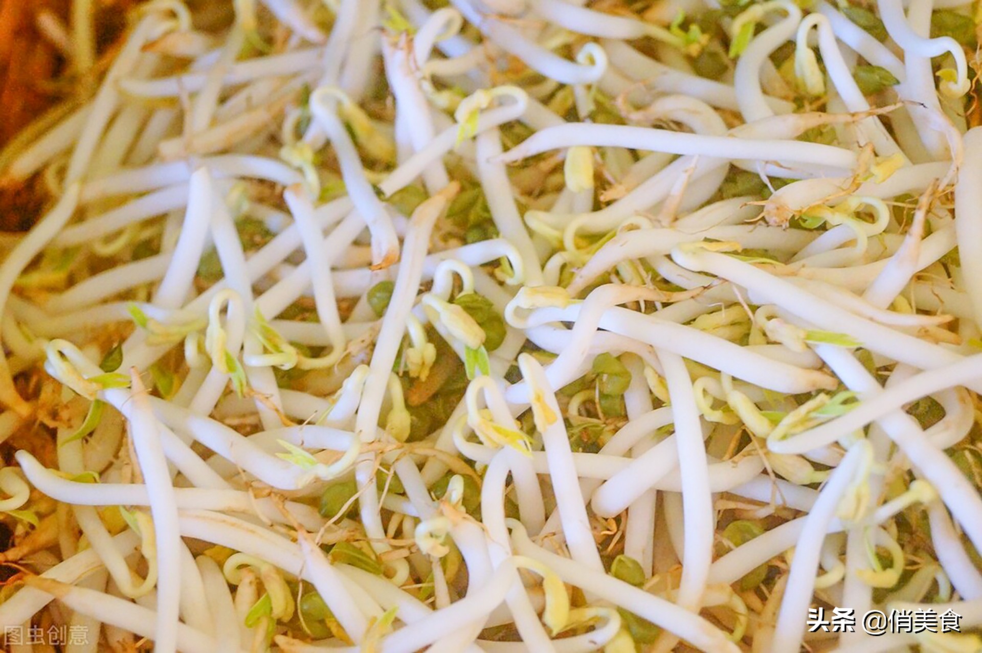 家庭自制绿豆芽的做法,家庭自制绿豆芽做法