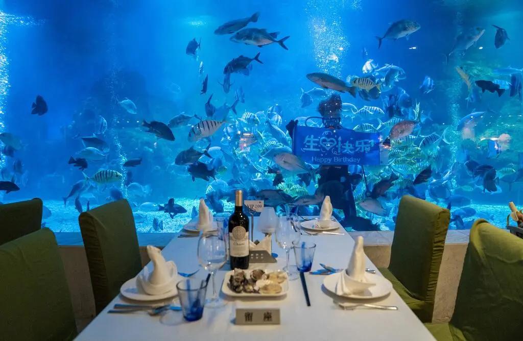 三亚海底酒店,三亚海底酒店海底套房