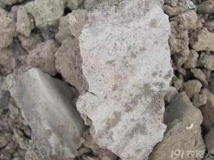 地没劲，根系弱，病害多......这些方法最管用