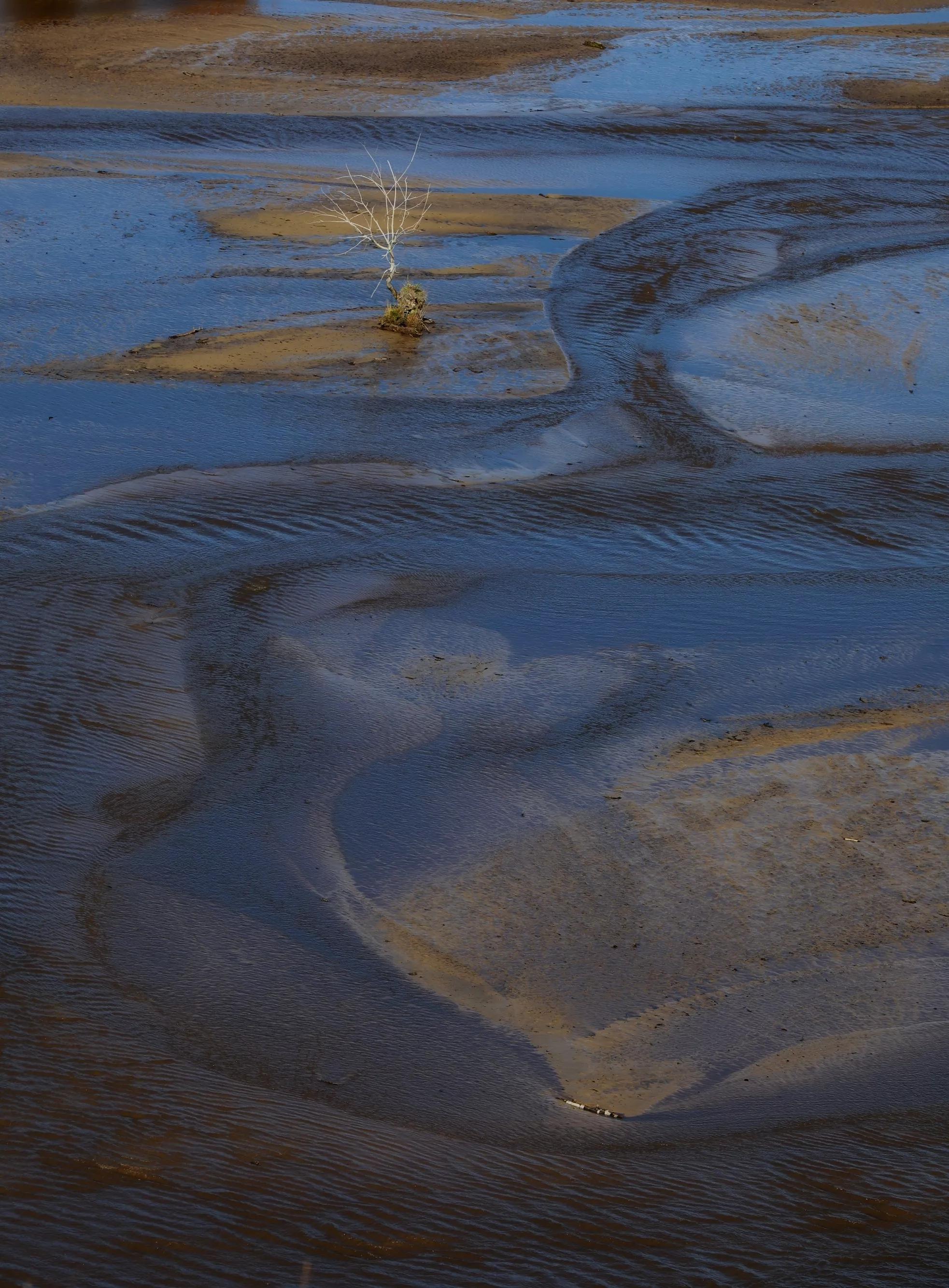 坝上秋色草原,坝上草原游记作文
