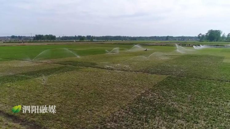 农业农村局民生实事项目,江苏宿迁泗阳农业农村局