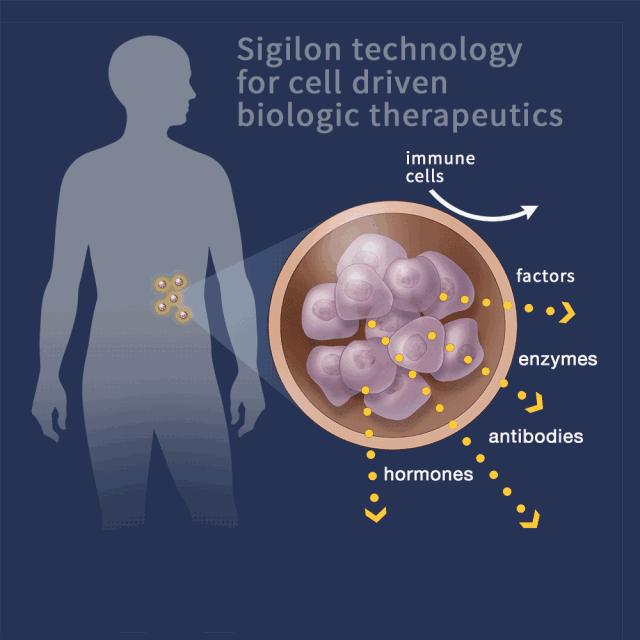 治疗1型糖尿病的最佳方法是,治疗1型糖尿病的最新疗法
