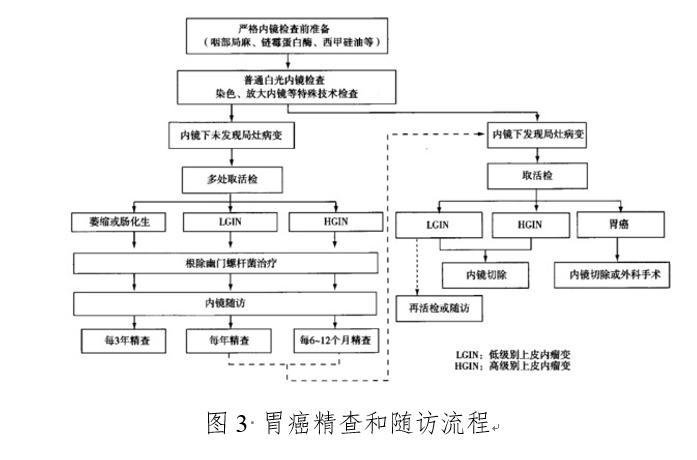 我国胃癌新发人数,2020年我国胃癌新发病例数达多少