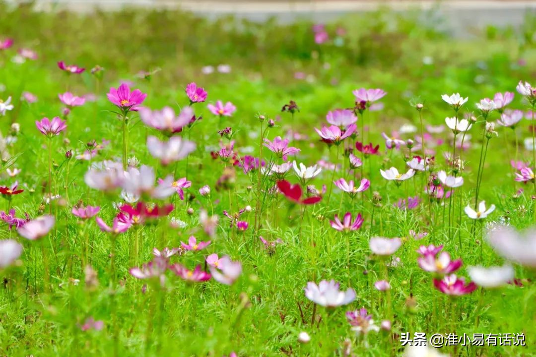 你想要的福利：快乐宝地，美丽倾心！这个便宜你占不占？