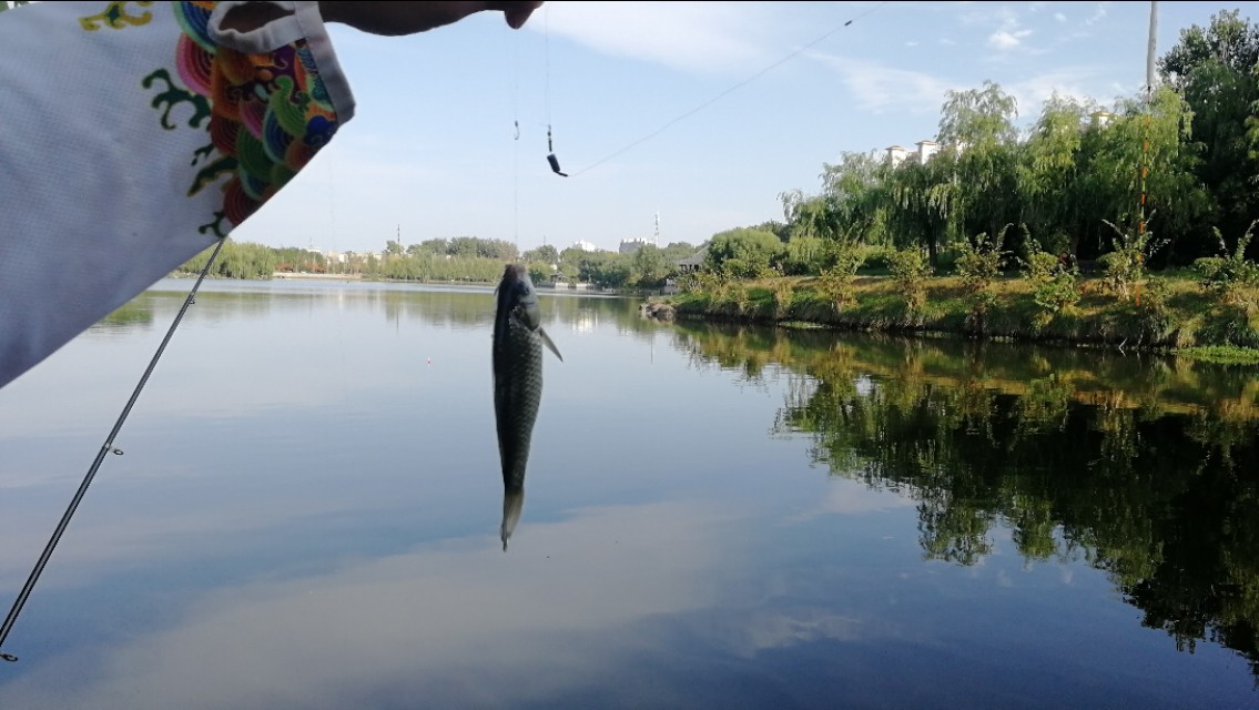 浮漂有口不浮,浮漂有口无鱼是什么原因
