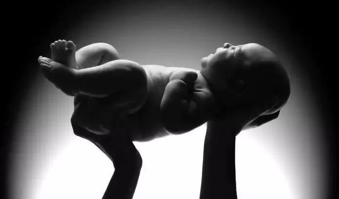 高级育婴师摔死厦门9个月大婴儿,高级育婴师摔死女婴后续