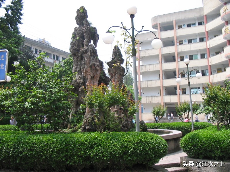 今年泸县一中高考情况,泸县一中五中四中今年的本科率