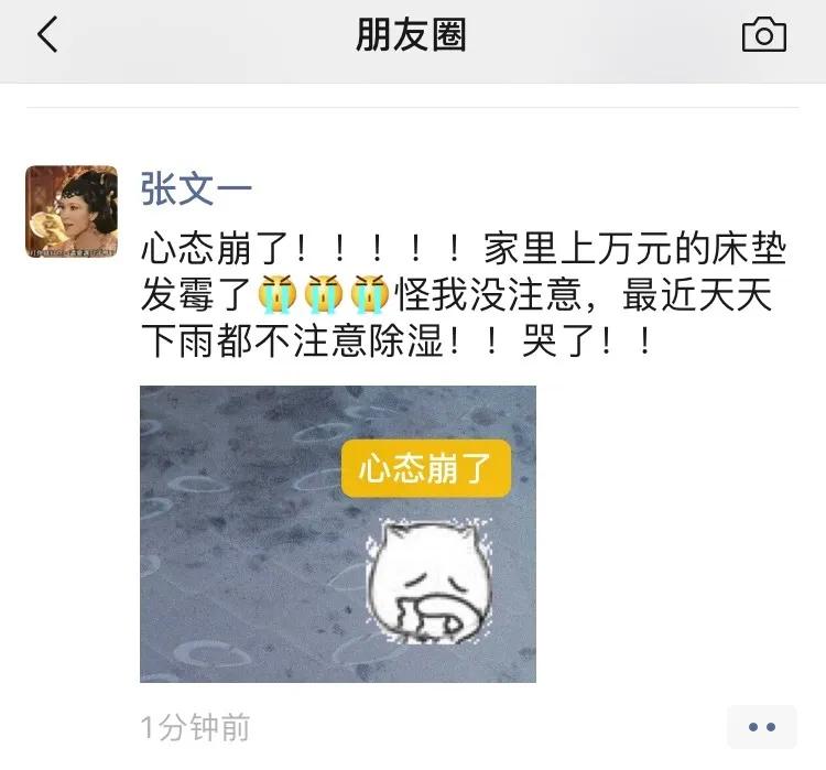 南方潮湿霉菌怎么杀灭,潮湿除霉处理