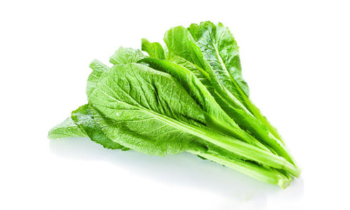 春分传统含义是什么,古时春分又称分春意思是