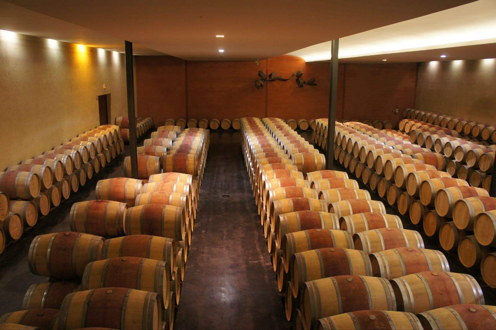 中华壮年女性！求求你们能不能别去旅游了