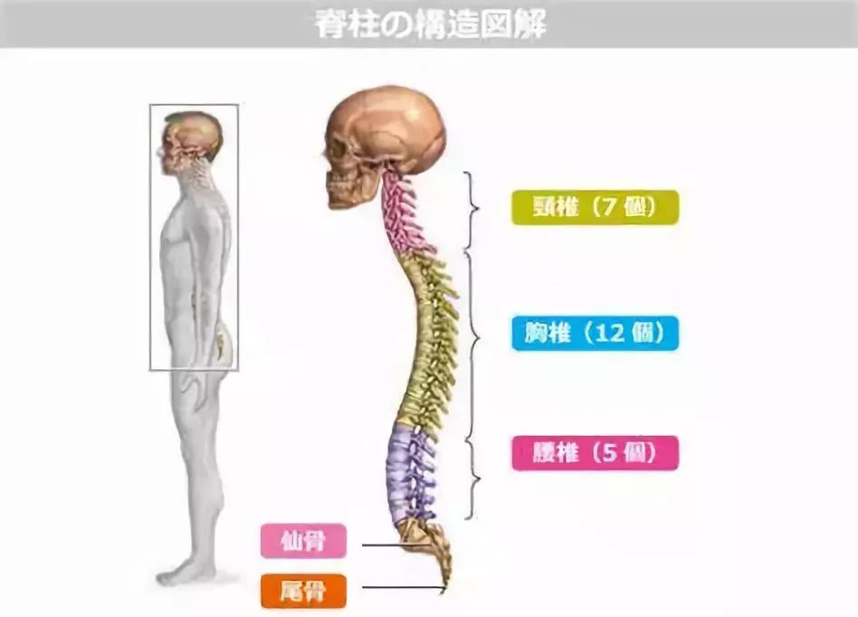 低头玩手机如何缓解颈椎,你还在侧躺玩手机吗