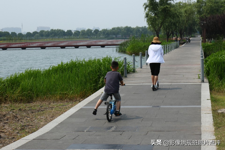 单反镜头有哪些小毛病,单反镜头容易碎吗为什么