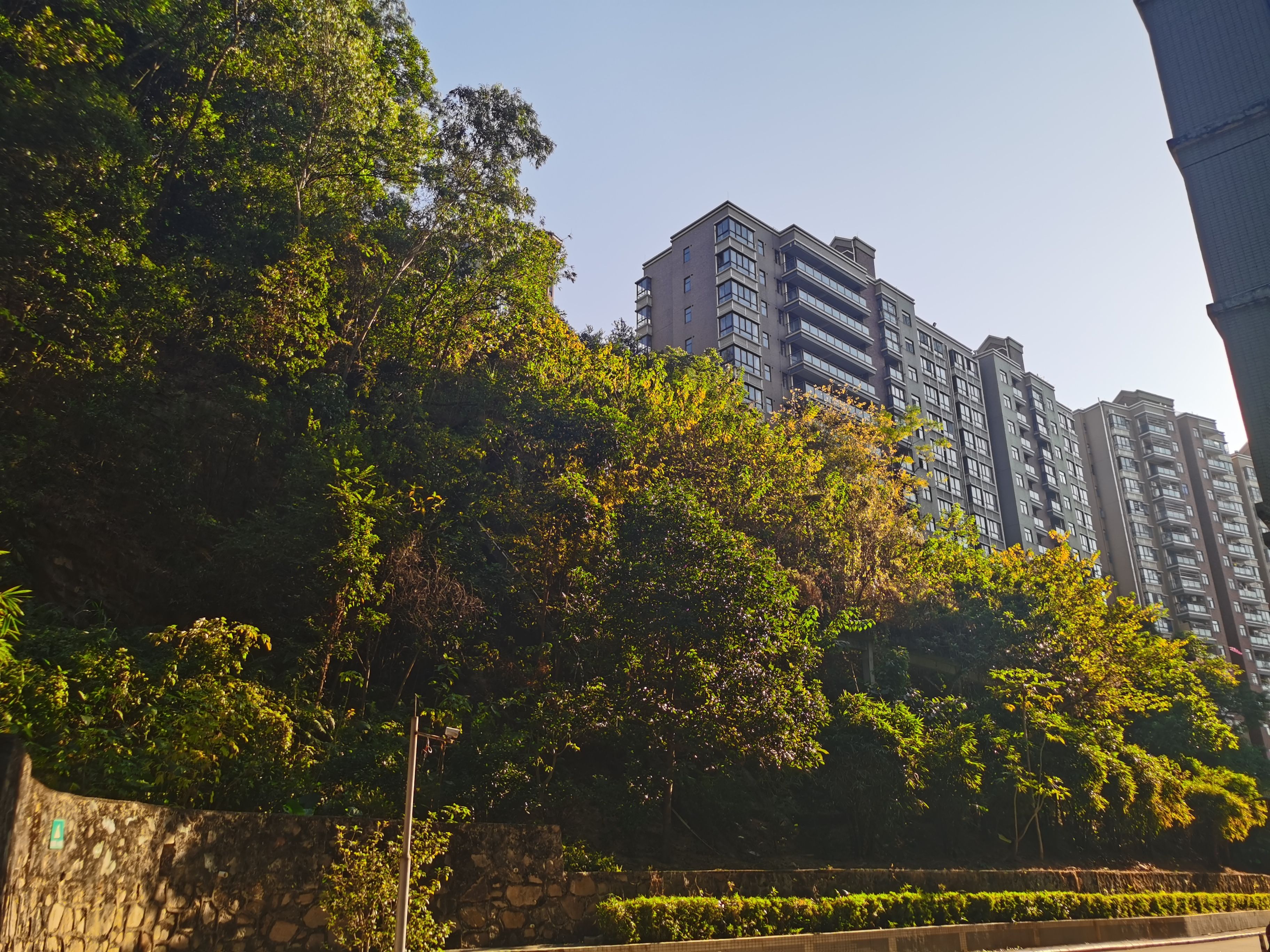 华为nova65g2022年值得买吗,华为nova65g深度评测