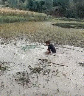 搞笑gif图妹子你这智商真是堪忧啊,搞笑gif妹子你这发型挺别致啊