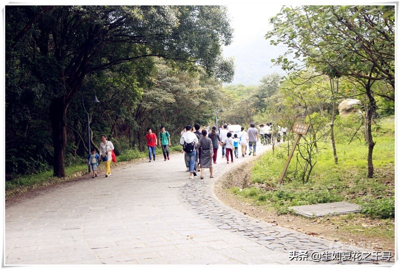 深圳市杨梅坑美人鱼拍摄基地,深圳大鹏杨梅坑美人鱼拍摄地点