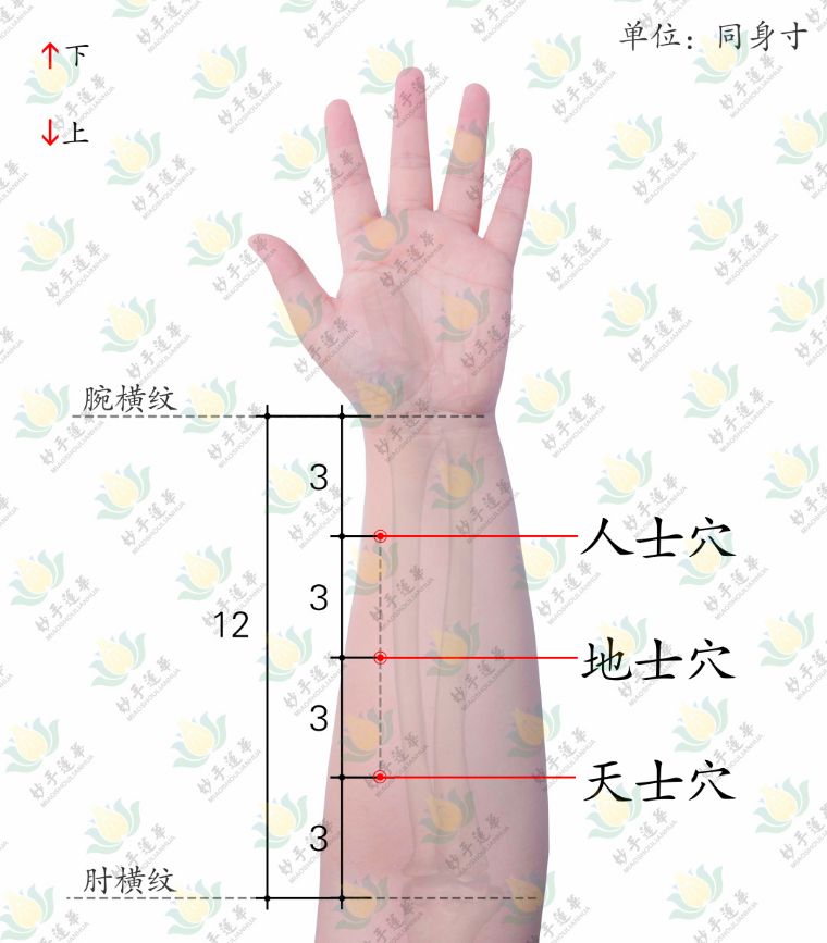 董氏治咽喉痛的特效穴,董氏针灸治感冒特效穴