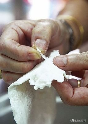 鱼胶花胶的家常做法,鱼胶花胶制作视频