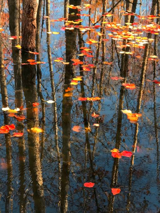 阿勒泰秋季旅行,新疆旅行阿勒泰秋天