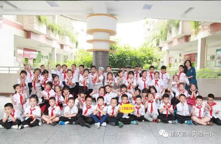 重庆沙坪坝区5朵金花小学,重庆公认最好的五个小学