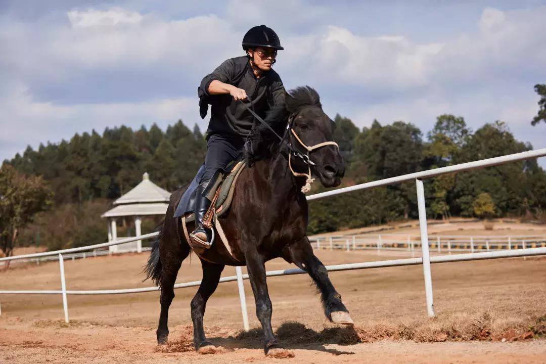 中秋优惠团购景区,团购石象湖门票