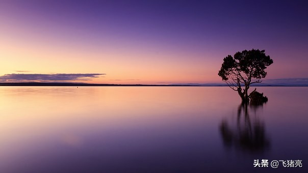 直通车运营本质有哪些,直通车拉搜索流量本质