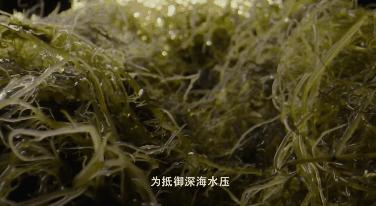 全国火锅图鉴，到底哪里的最好吃？