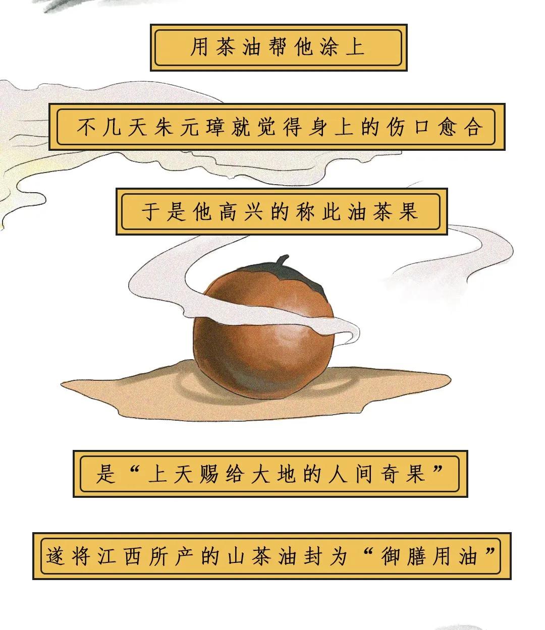 江西茶油树图片,江西茶油价格表