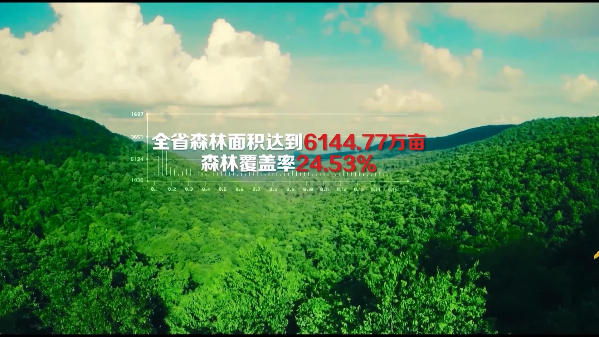 娌冲崡鑰佸涔¢煶涔℃剚,娌冲崡鍐滄潙鐢熸椿瑙嗛涔℃剚