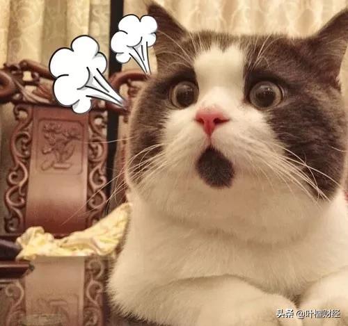 京东方为何大跌不止,京东方被低估了吗