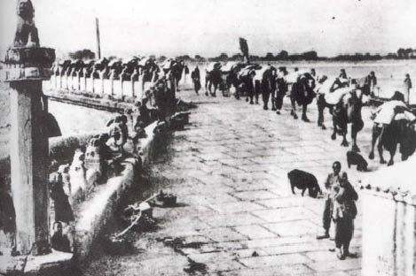 1974年刑满释放的老人蹬三轮车,1974年浙江老汉刑满出狱