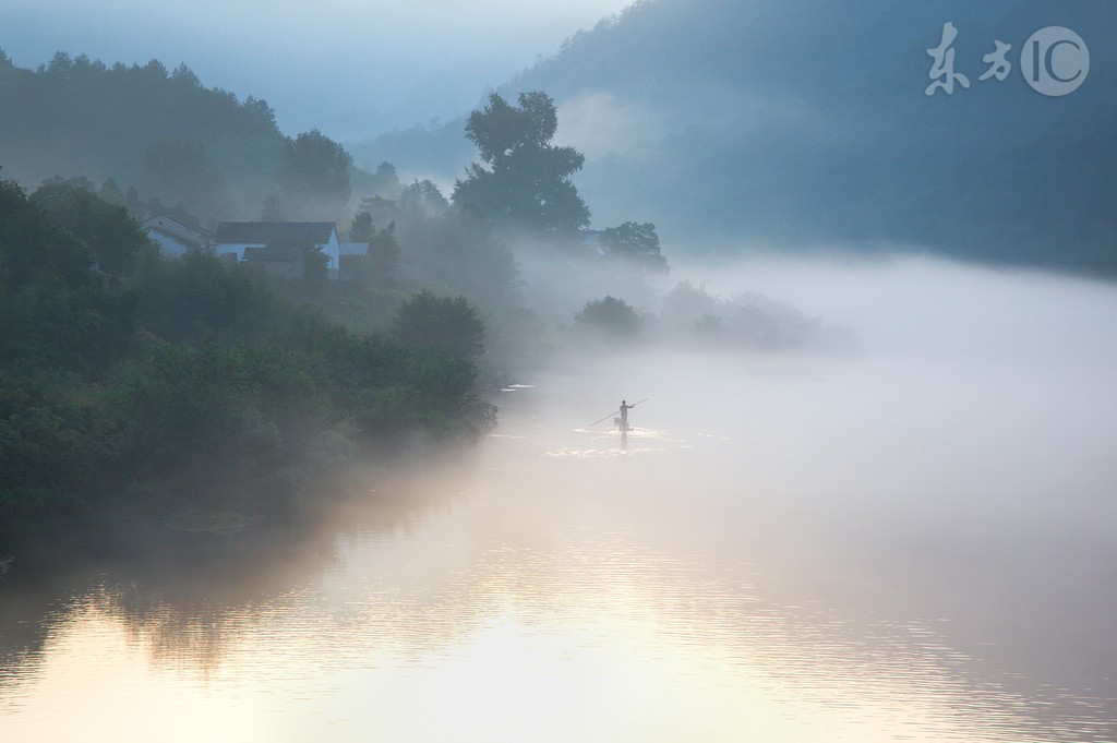 小说：宝剑虽好，却不如当个铲屎官，撸个猫来的快乐。
