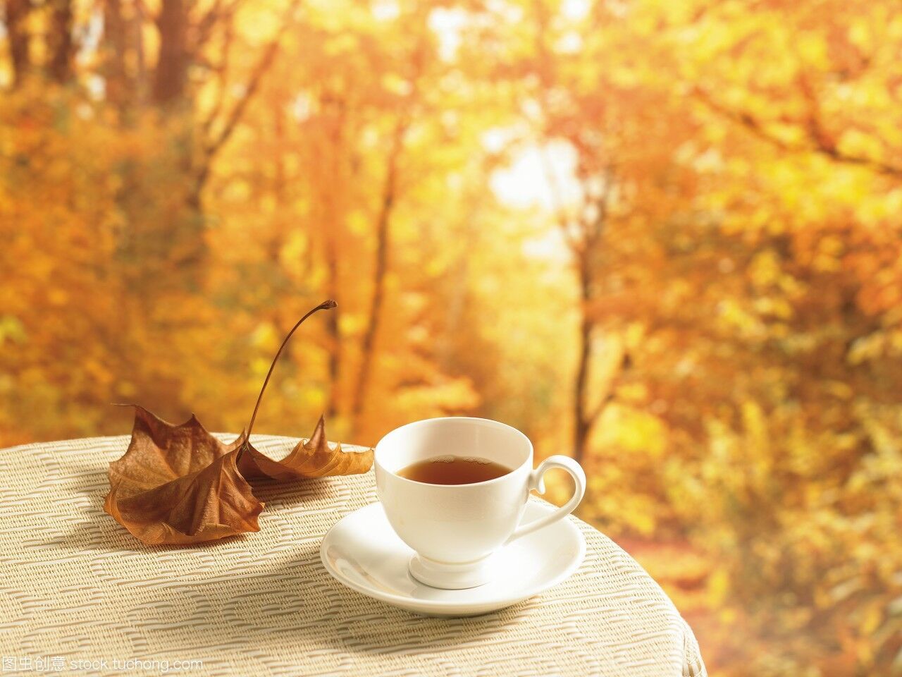 悠闲惬意品茶的诗词五绝,赏经典诗词品诗意人生悟古人情怀