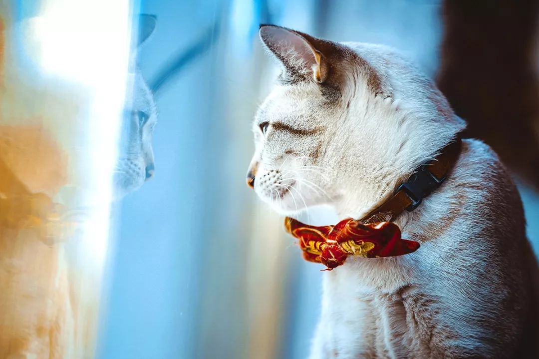 深圳富人日常生活真实记录,在深圳普通人最真实的生活状态