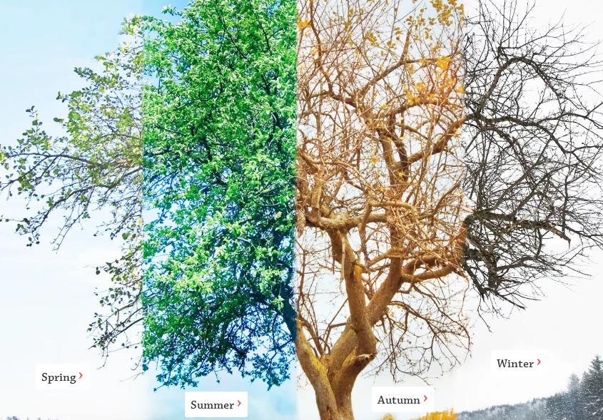 全免费的百科知识网站——DKFindOut!