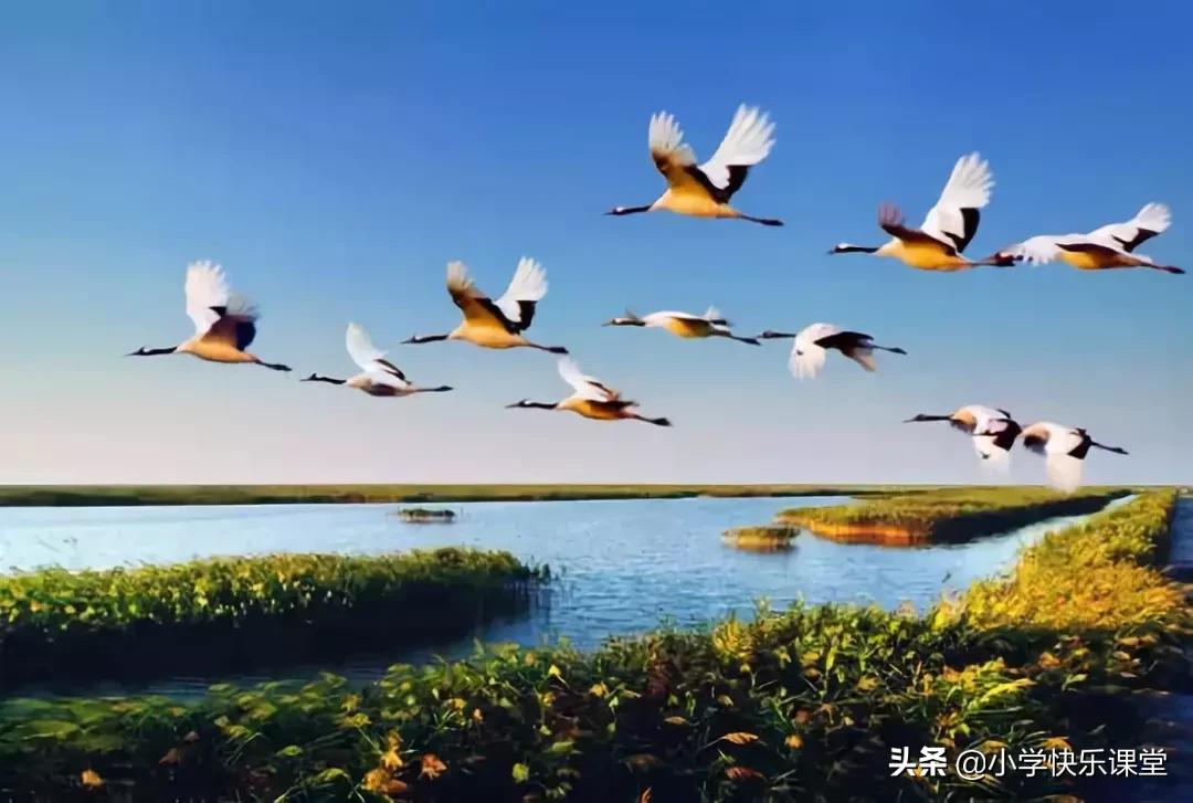 一年级数学小故事10篇最简短的,数学小故事10篇最简短的趣味数学