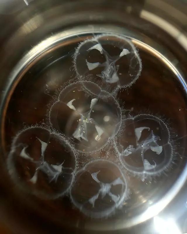 天然大氧吧山清水秀,中国最美的天然氧吧