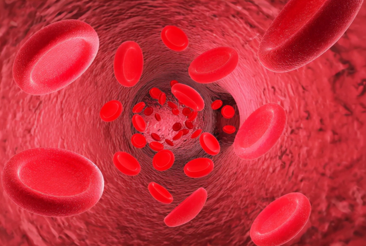 a型b型ab型o型血哪个人的智商高,a型b型o型ab型哪种血型身体好