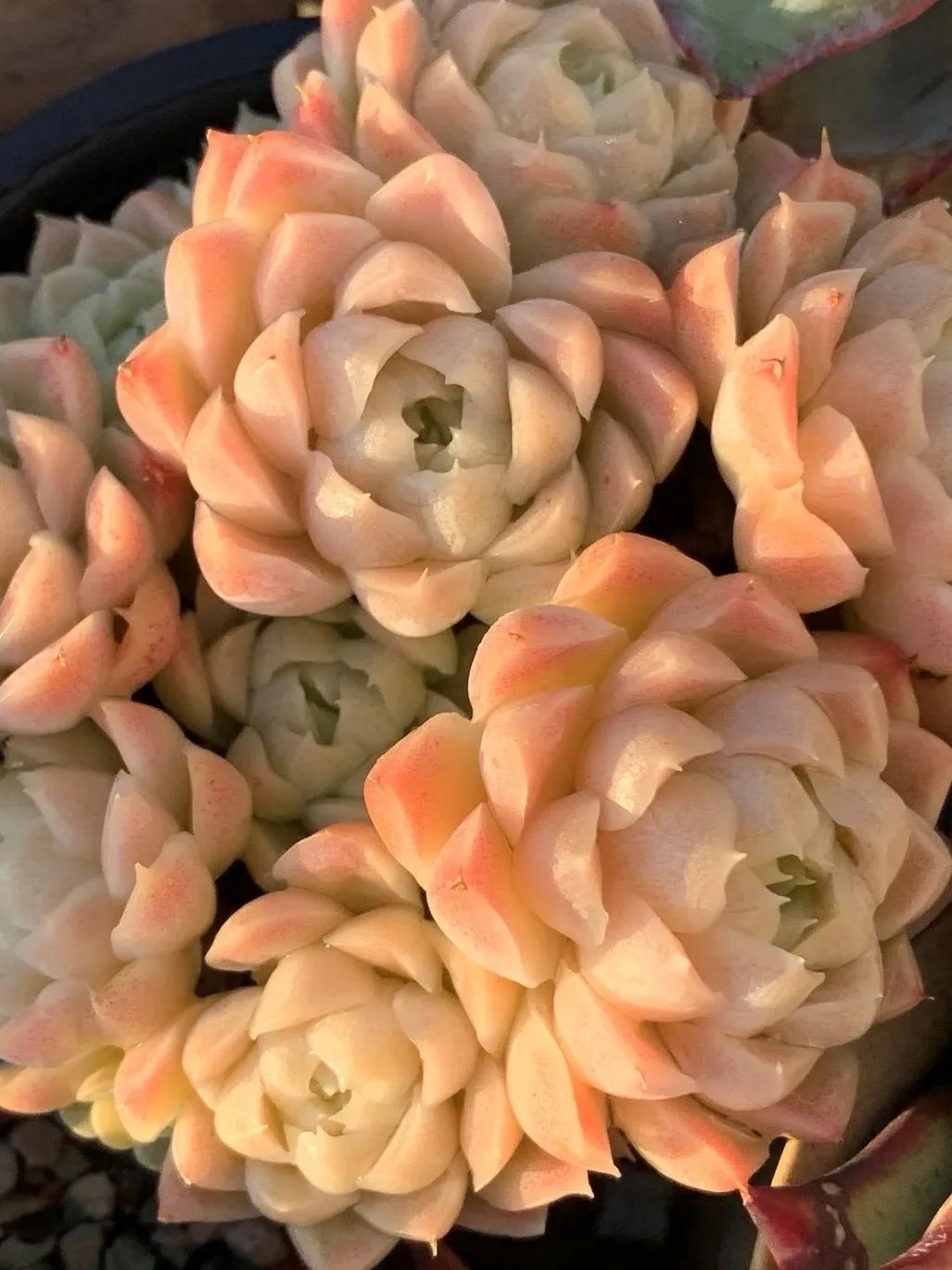 禁足的日子收获颇多,禁足