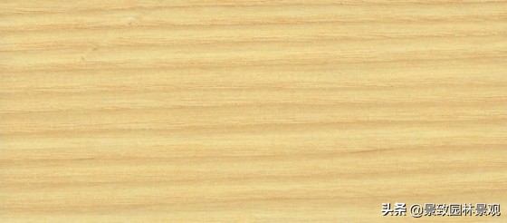 木纹最好看的木材图片,各种木材纹理图片与名称