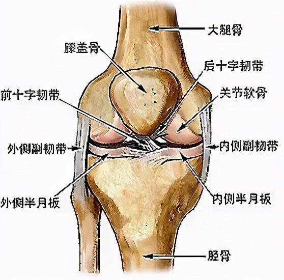人未老膝盖先老,人未老脚先衰十个动作