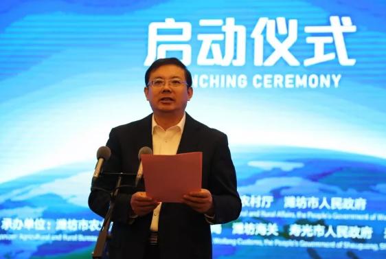 寿光菜篮子果蔬,寿光粤港澳大湾区蔬菜