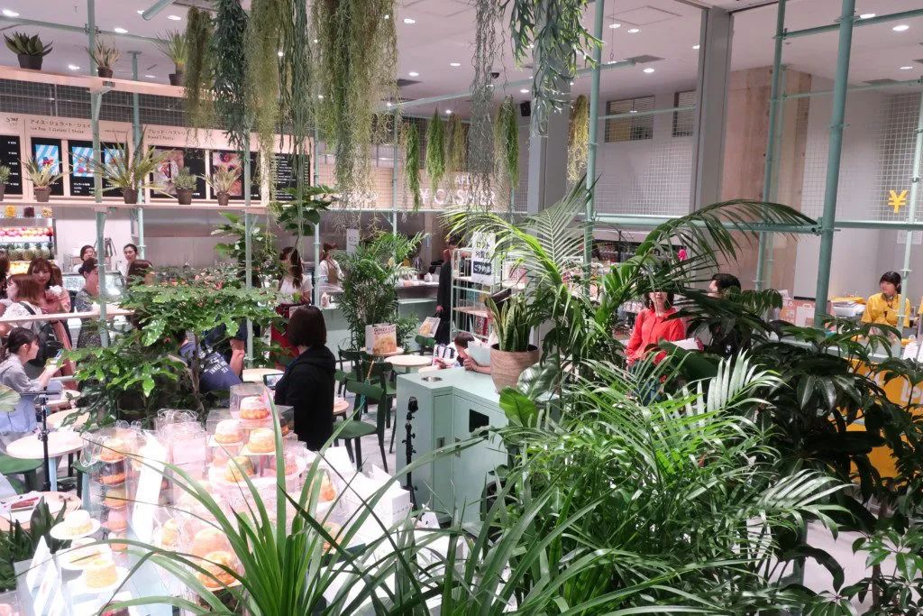 茑屋书店卖什么,茑屋书店上海首店12月24日开业