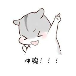 想赚100万的大码模特现在啥样了？174斤胖妹回家的行李箱说明一切