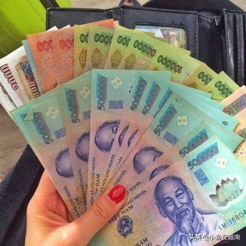 越南自由行旅游攻略穷游 (越南自由行怎么走最省钱)