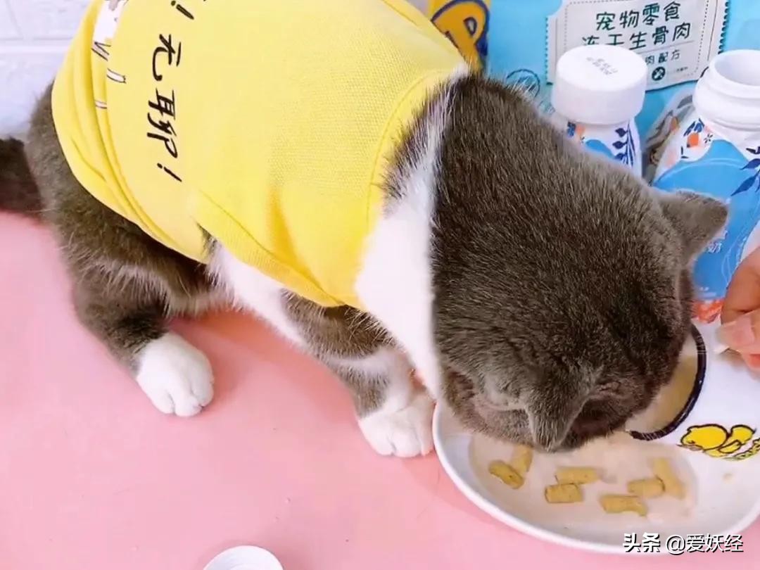 怡亲新品冻干生骨肉，据说是可以做主食的零食