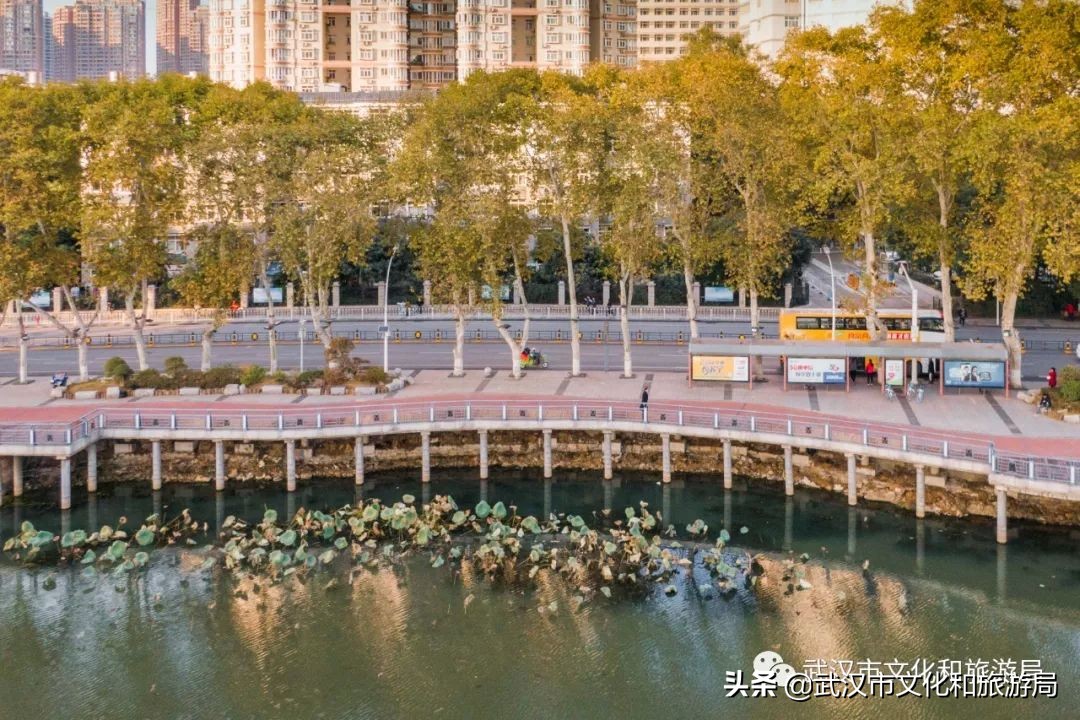 武汉环城绿道,武汉上半年全线贯通的新绿道