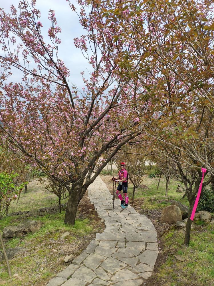 2020年江南100英里越野赛,江南100越野赛选手名单