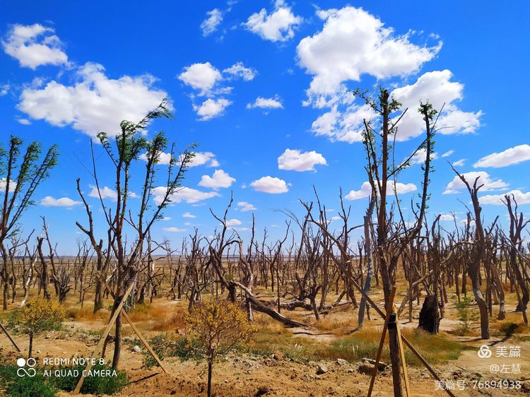 内蒙古二连浩特地图,内蒙古二连浩特机场