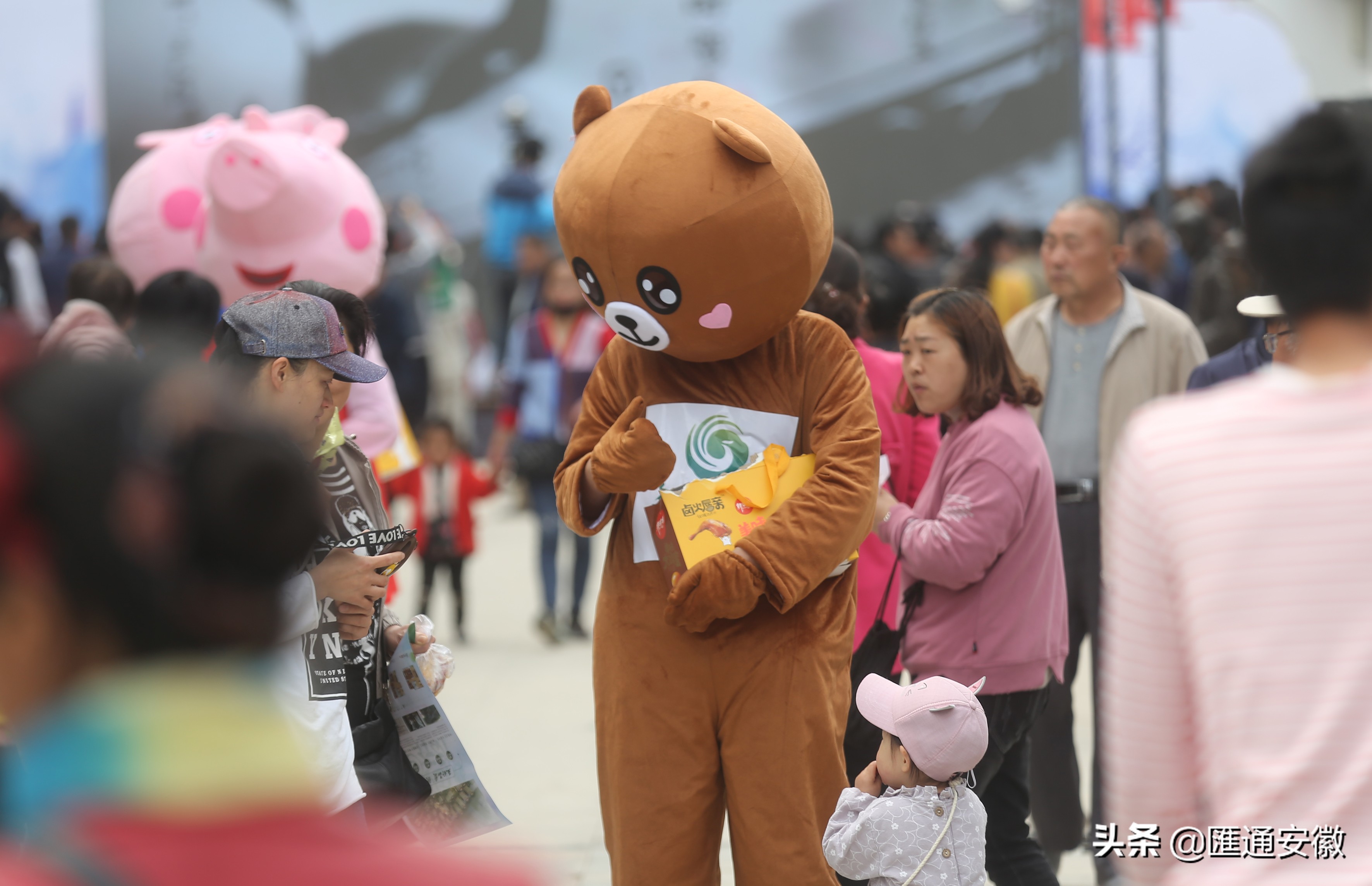 以食为媒，打造永不落幕的盛会——2019淮北食品工业博览会回顾
